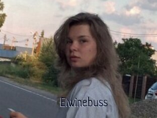 Elwinebuss