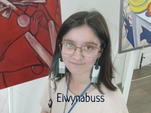 Elwynabuss