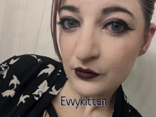 Evvykitten