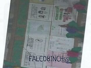 FALCO8INCHss
