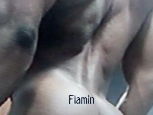 Flamin