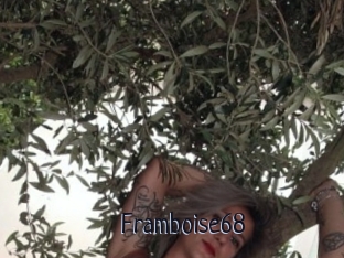 Framboise68