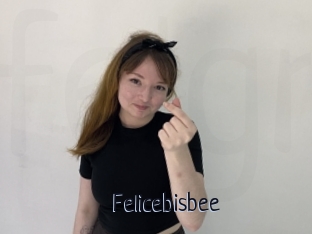 Felicebisbee