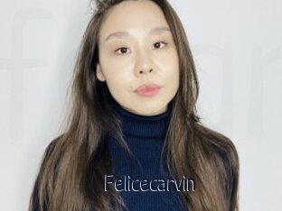 Felicecarvin