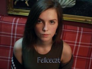 Felicecat
