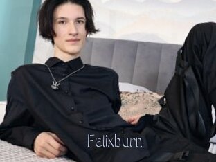 Felixburn