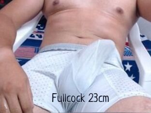 Fullcock_23cm