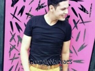 GonzaloNarvaes