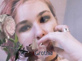 Grothia