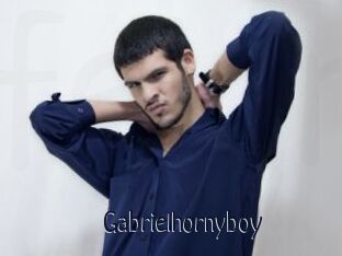 Gabrielhornyboy