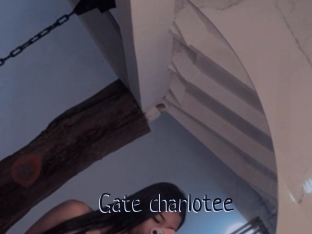 Gate_charlotee