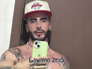 Gawainn_zeldris