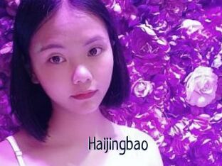 Haijingbao