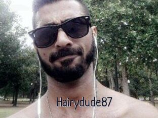 Hairydude87