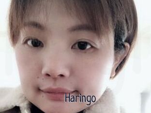Haringo