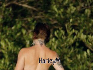 HarleyM