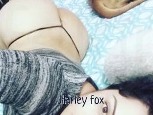 Harley_fox