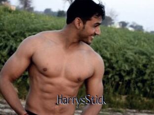 HarrysStick