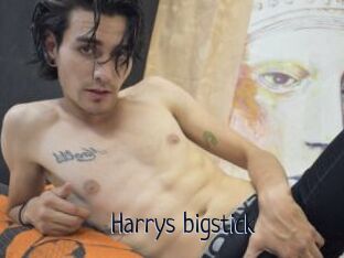 Harrys_bigstick