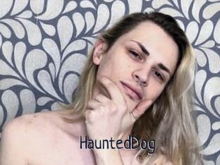 HauntedDog