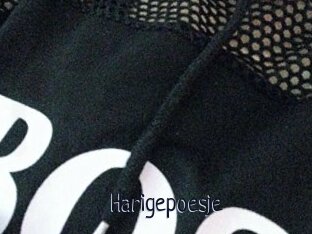 Harigepoesje