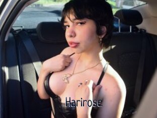 Harirose