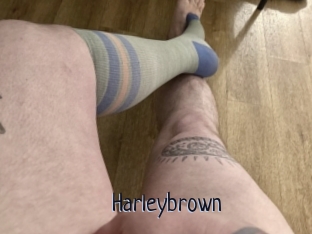 Harleybrown
