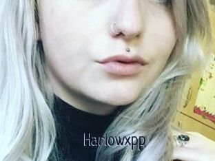 Harlowxpp