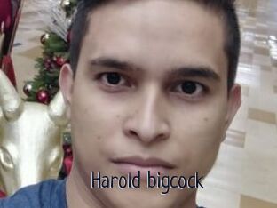 Harold_bigcock