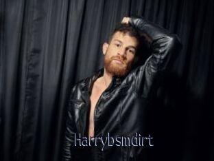 Harrybsmdirt