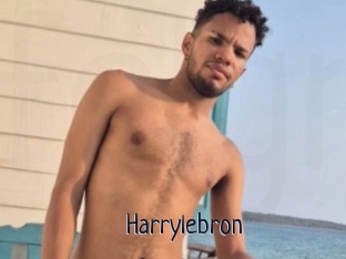 Harrylebron