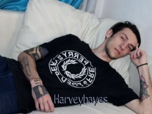 Harveyhayes