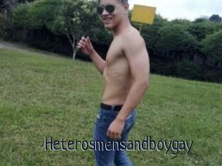 Heterosmensandboygay