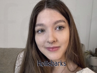 Hollisbarks