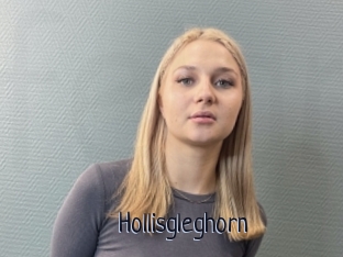 Hollisgleghorn