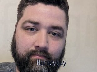 Horneyguy