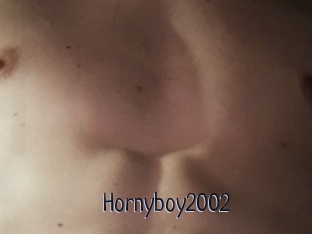 Hornyboy2002