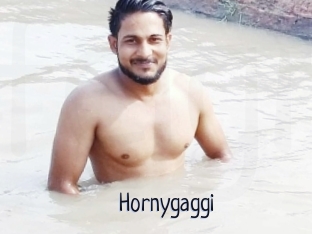 Hornygaggi
