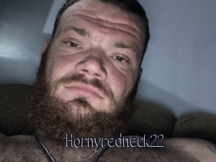 Hornyredneck22