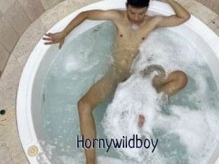 Hornywildboy