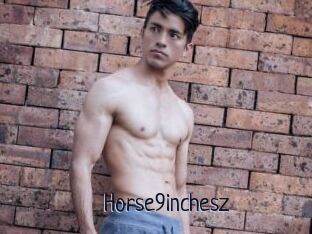 Horse9inchesz