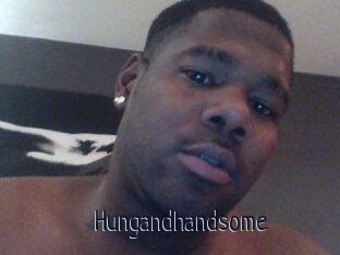 Hungandhandsome