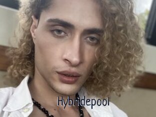 Hybridepool