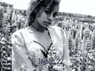 Indigo_22