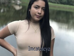 Imcataleya