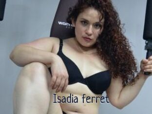 Isadia_ferret
