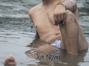 Joe_Novel