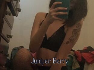 Juniper_Berry