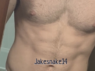 Jakesnake14