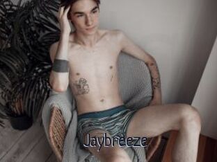 Jaybreeze